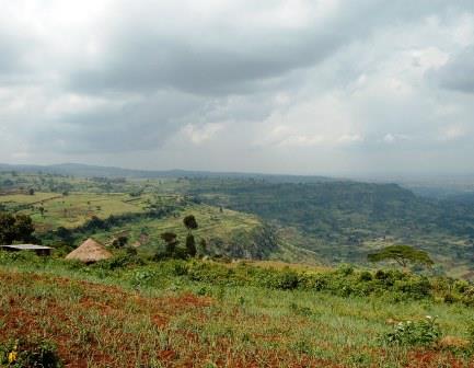 Trans Nzoia County（特兰斯恩佐亚县）-非行家旅行-Africa Wild Wander