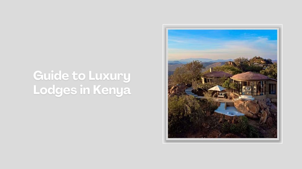Hemingways Watamu(历史遗产 / 博物馆)-非行家旅行-Africa Wild Wander