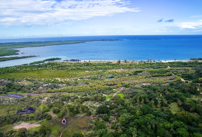 Gazi Ruins（海滩 / 岛屿）-非行家旅行-Africa Wild Wander