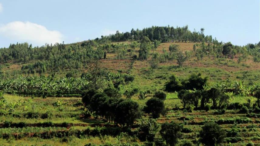 Ancient Mbeere Terraces（自然景观 / 徒步）-非行家旅行-Africa Wild Wander