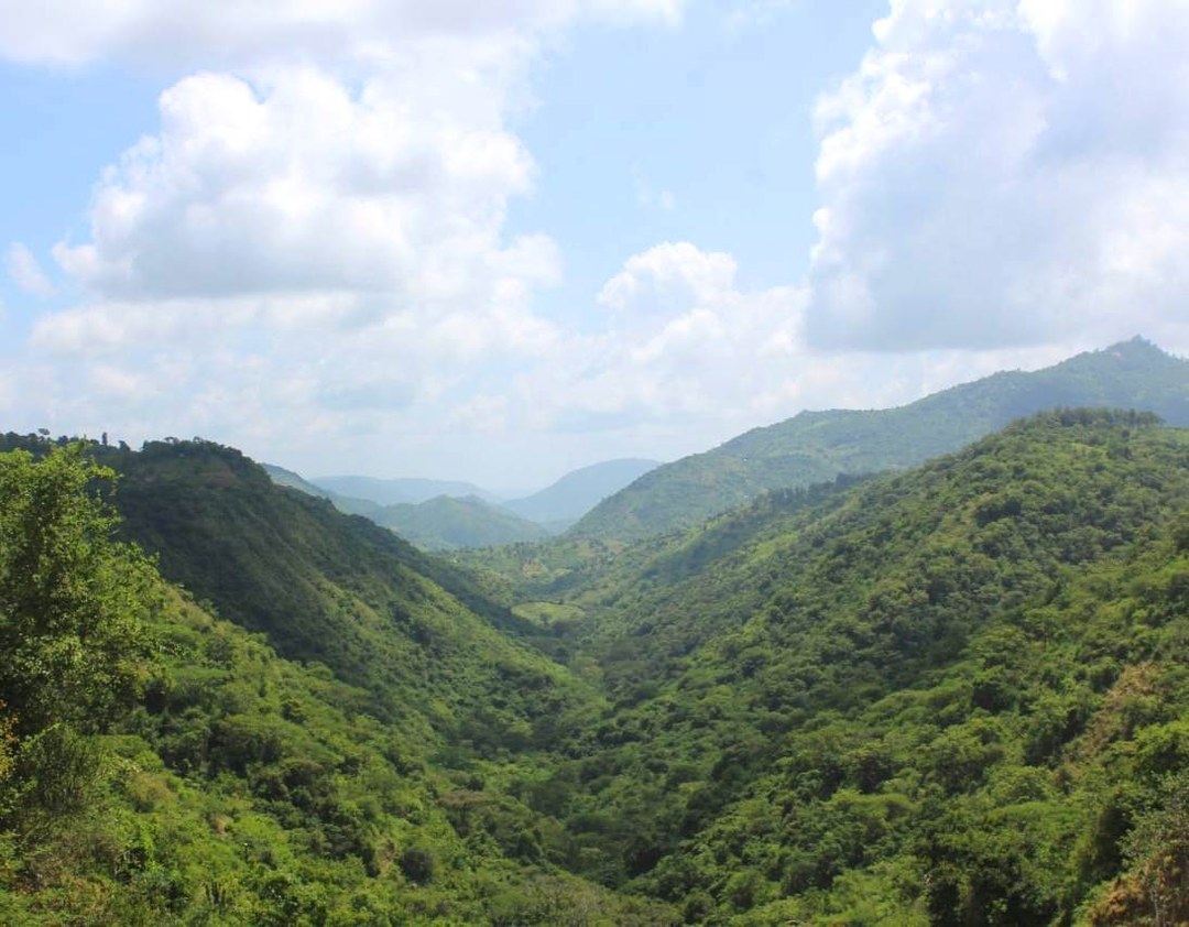 Ikoo Valley（伊库谷）-非行家旅行-Africa Wild Wander