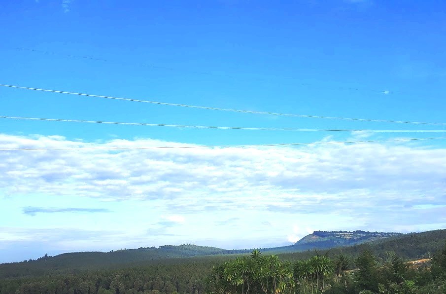 Dundori Forest（森林 / 水源地）-非行家旅行-Africa Wild Wander