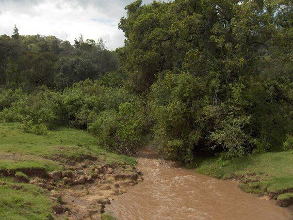 Lembus Forest-非行家旅行-Africa Wild Wander