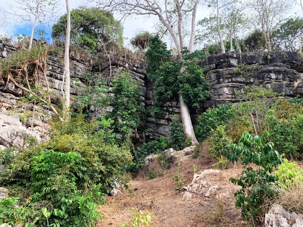 Chasimba Cave（自然景观 / 徒步）-非行家旅行-Africa Wild Wander