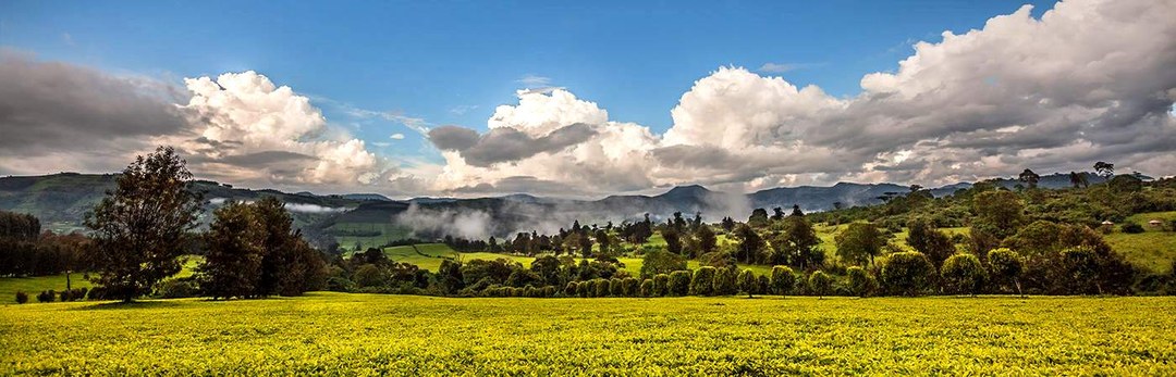 Tinderet Mountain（山地 / 洞穴）-非行家旅行-Africa Wild Wander