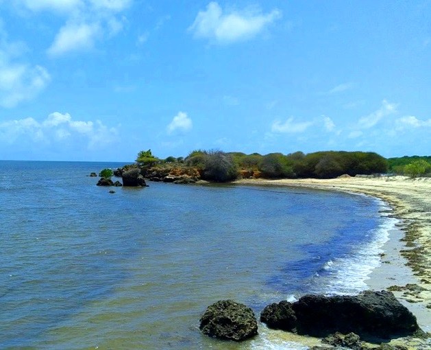 Kiunga Marine National Reserve（基翁加海洋国家保护区）-非行家旅行-Africa Wild Wander