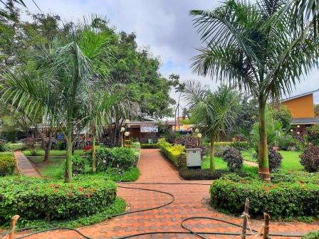 Wote Green Public Park(县域目的地)-非行家旅行-Africa Wild Wander
