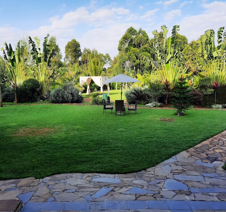 The Willis Hotel（历史遗产 / 博物馆）-非行家旅行-Africa Wild Wander