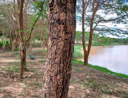 Kalundu Eco Park（卡伦杜生态公园）-非行家旅行-Africa Wild Wander