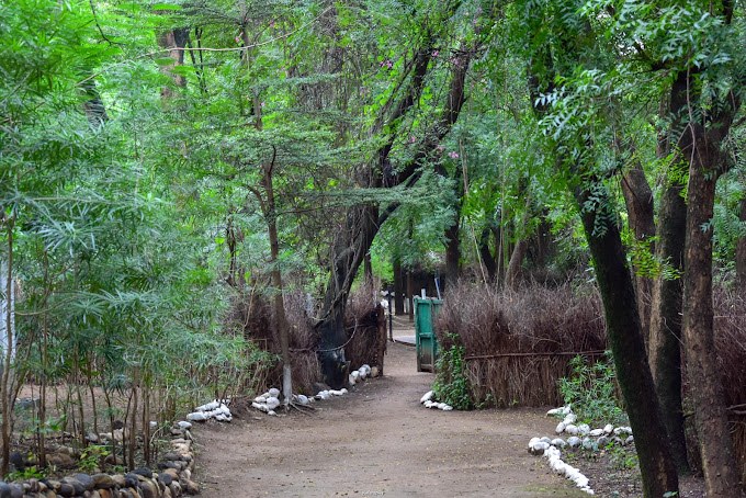 Marich Pass Field Center（水系 / 湖泊 / 海岸）-非行家旅行-Africa Wild Wander