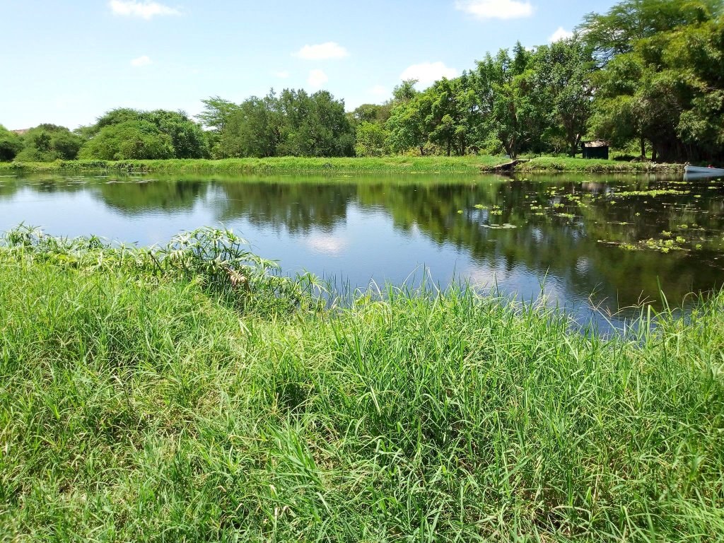 Kivungoni Springs（Kibwezi / Umani / Safari）-非行家旅行-Africa Wild Wander
