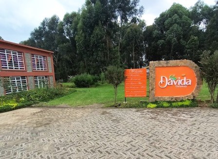 Davida Getaway（县域目的地）-非行家旅行-Africa Wild Wander