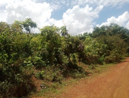 Mrima Hill Rare Earth Mine（姆里马山稀土矿议题）-非行家旅行-Africa Wild Wander