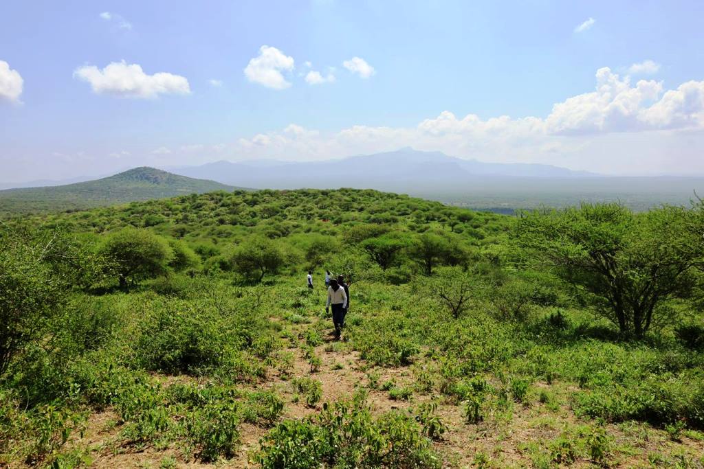 Mwashoti Hill（一战遗址 / 纪念地）-非行家旅行-Africa Wild Wander