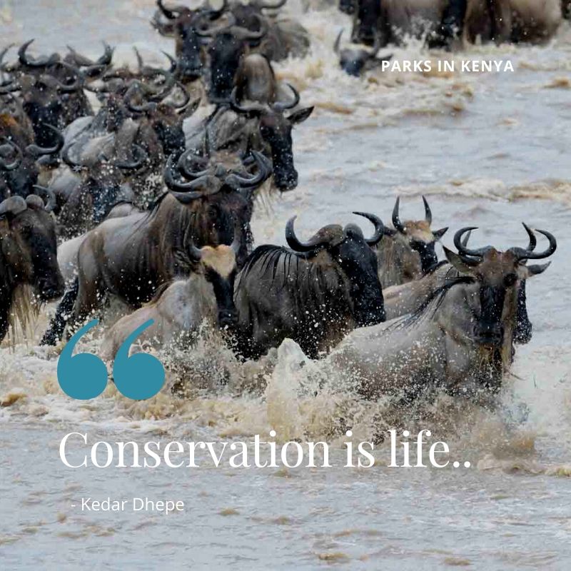 Conservancies in Kenya(肯尼亚保护地)-非行家旅行-Africa Wild Wander