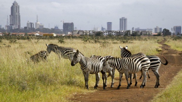 Marsabit National Reserve and Park, Sibiloi National Park, Meru National Park, Mombasa Marine National Reserve and Park, Nairobi National Park（水系 / 湖泊 / 海岸）-非行家旅行-Africa Wild Wander