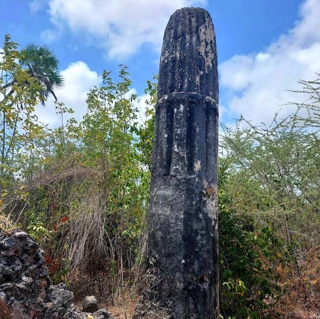 Shanga Ruins（尚加遗址）-非行家旅行-Africa Wild Wander