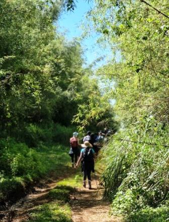 Ragia Forest Trail（拉吉亚森林步道）-非行家旅行-Africa Wild Wander