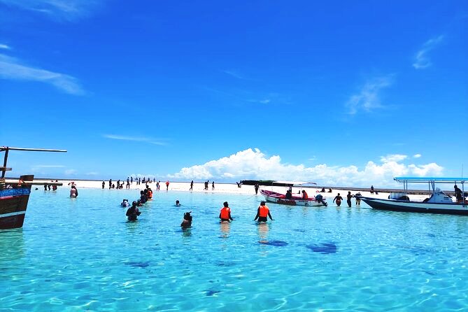 Kisite-Mpunguti Marine Park & Reserve（基西特-姆蓬古蒂海洋公园与保护区）-非行家旅行-Africa Wild Wander