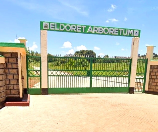 Eldoret Arboretum（埃尔多雷特树木园）-非行家旅行-Africa Wild Wander