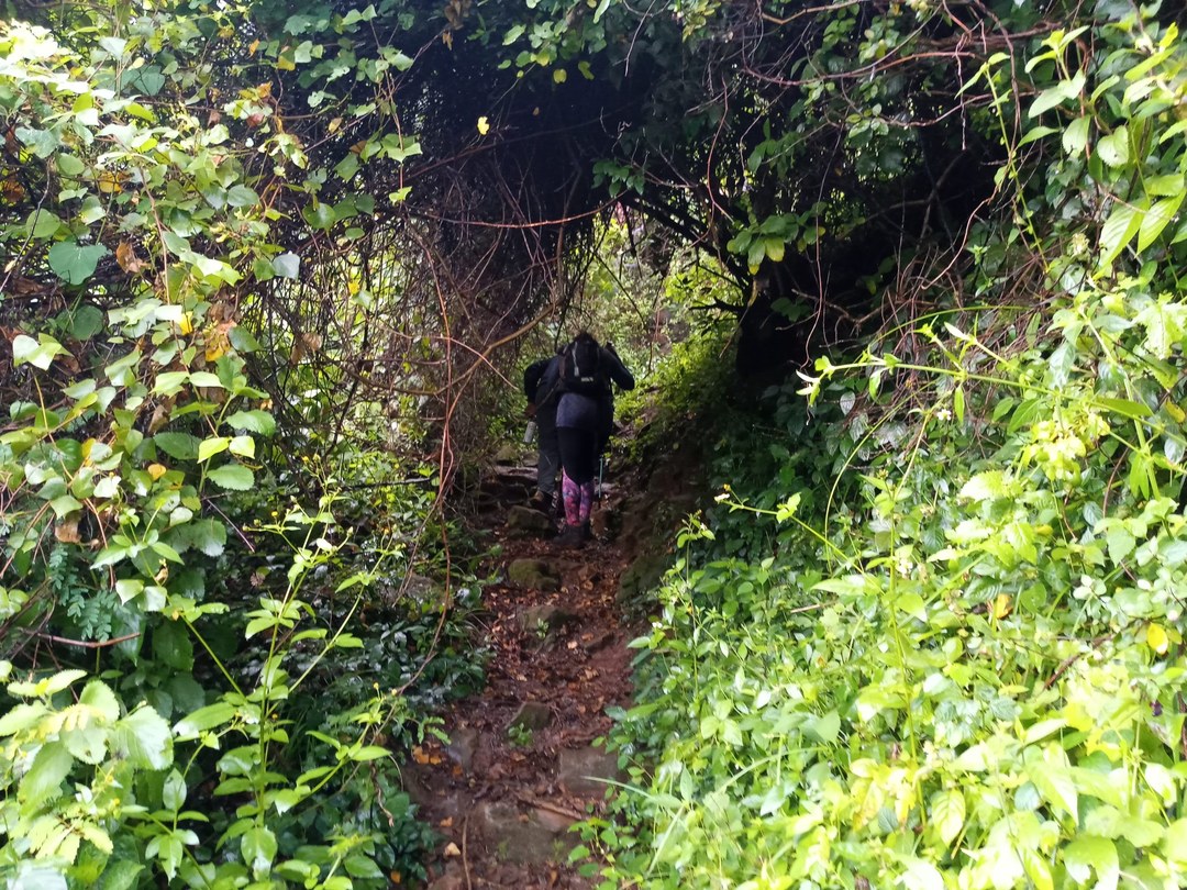 Kessup Forest（水系 / 湖泊 / 海岸）-非行家旅行-Africa Wild Wander