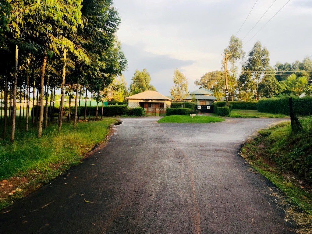Mount Elgon Guesthouse（埃尔贡山客舍）-非行家旅行-Africa Wild Wander