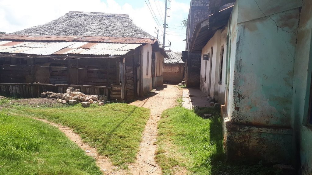 Takaungu Old Town（历史遗产 / 博物馆）-非行家旅行-Africa Wild Wander