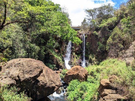 Ndaragwa Falls（瀑布 / 森林水系）-非行家旅行-Africa Wild Wander
