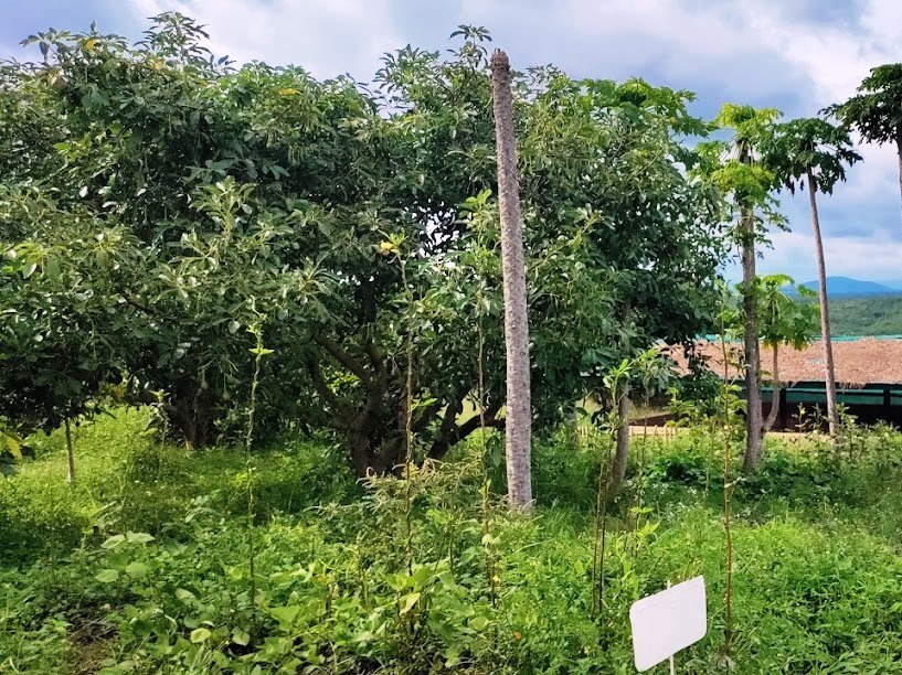 Eco Farmhouse（住宿休闲 / 周末营地）-非行家旅行-Africa Wild Wander