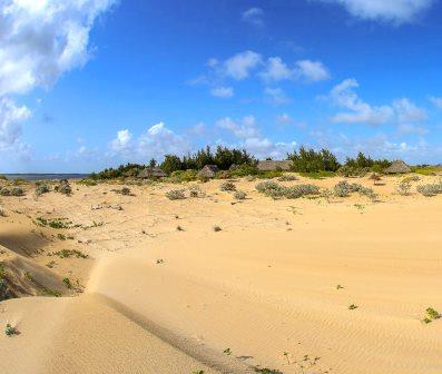 Kizingoni Beach（海岛 / 海滩 / 船行体验）-非行家旅行-Africa Wild Wander