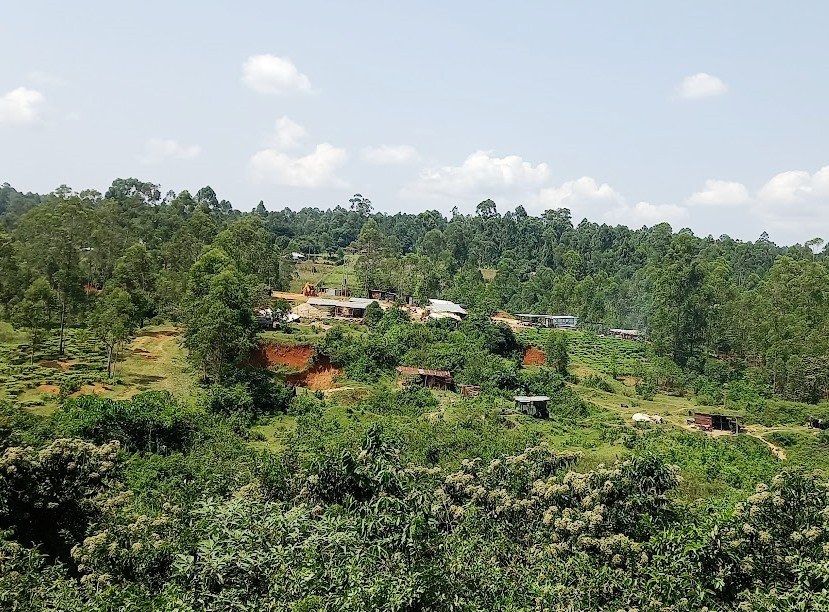 Kichutu Gold Mine（基丘图金矿）-非行家旅行-Africa Wild Wander