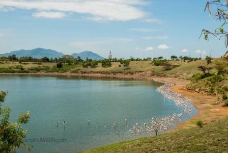 Lake Simbi Nyaima（水系 / 湖泊 / 海岸）-非行家旅行-Africa Wild Wander