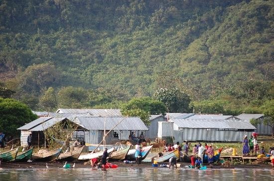 Ringiti Island（水系 / 湖泊 / 海岸）-非行家旅行-Africa Wild Wander