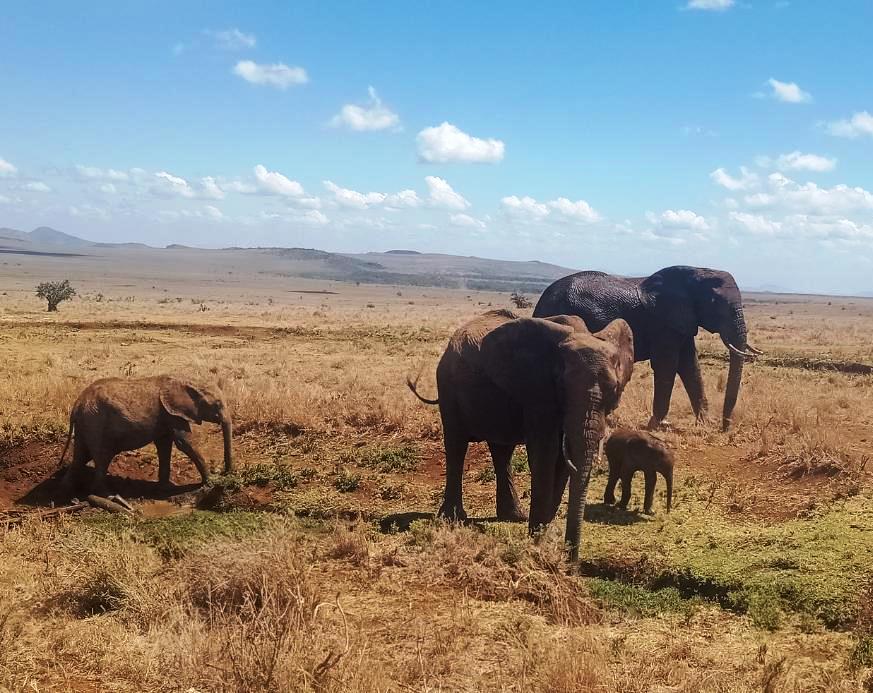 Ol Lentille Conservancy（自然景观 / 徒步）-非行家旅行-Africa Wild Wander