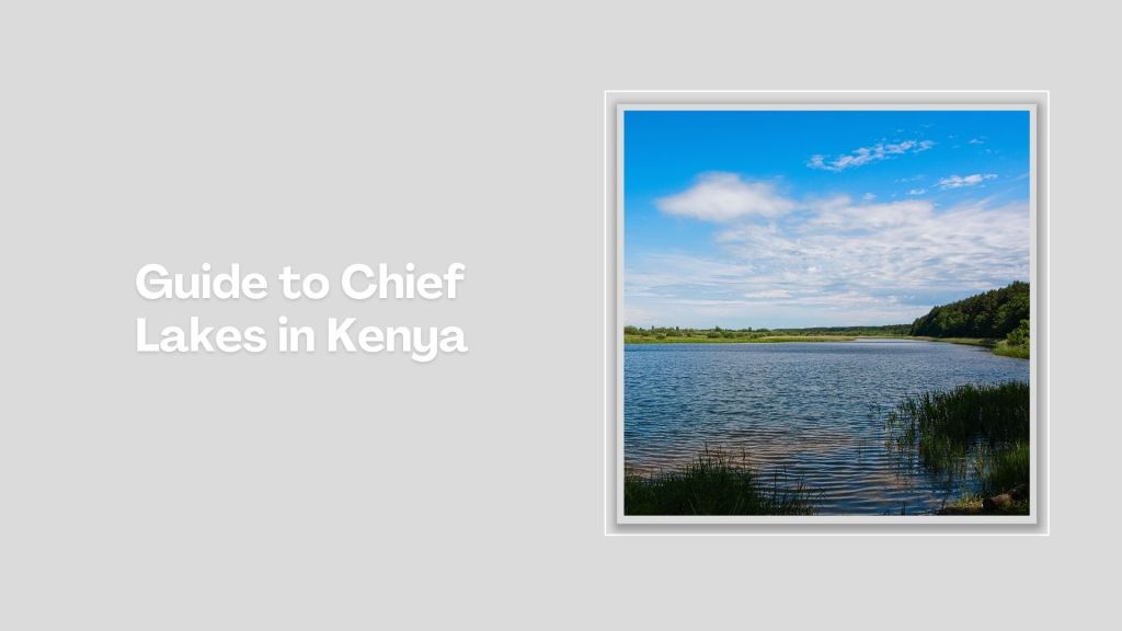 Lake Okari（水系 / 湖泊 / 海岸）-非行家旅行-Africa Wild Wander