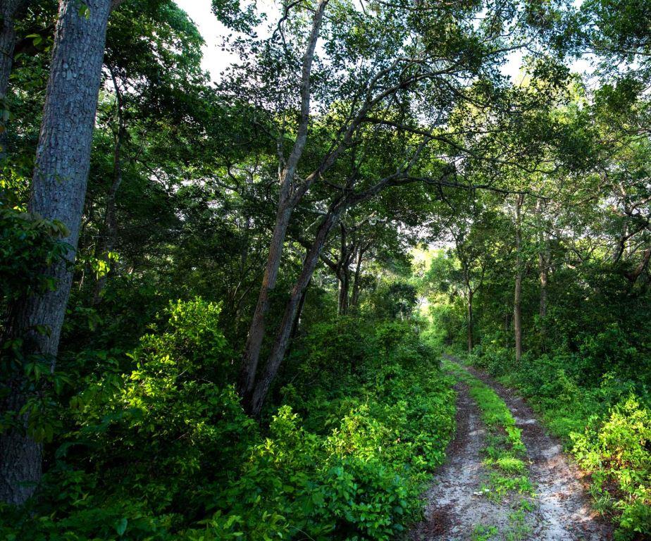 Dodori National Reserve（多多里国家保护区）-非行家旅行-Africa Wild Wander
