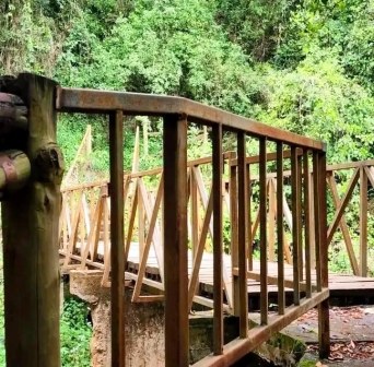 Ndaragwa Falls（瀑布 / 森林水系）-非行家旅行-Africa Wild Wander