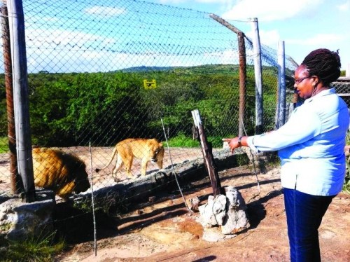 Kwa Kyelu Sanctuary（Athi-Kapiti / Lukenya 生态）-非行家旅行-Africa Wild Wander