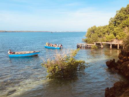Pilli Pipa Dhow（海洋保护 / 海岛体验）-非行家旅行-Africa Wild Wander