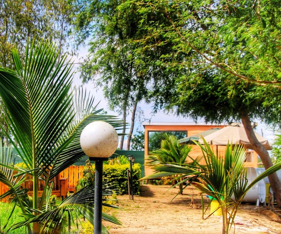 Lobby Resort（洛比湖滨度假村）-非行家旅行-Africa Wild Wander
