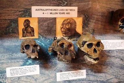 Kitale Museum（基塔莱博物馆）-非行家旅行-Africa Wild Wander