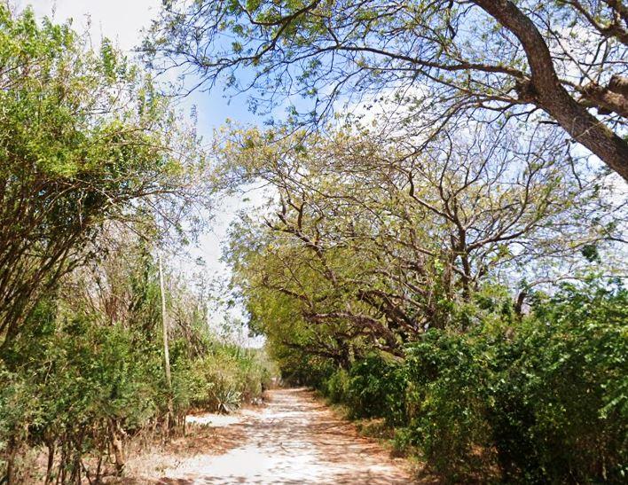 Kikambala Beach（水系 / 湖泊 / 海岸）-非行家旅行-Africa Wild Wander