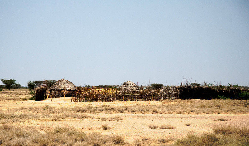 Turkana 族群与北肯尼亚生活方式-非行家旅行-Africa Wild Wander