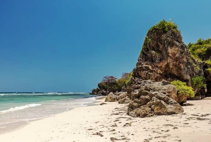 Msambweni Beach(海滩 / 岛屿)-非行家旅行-Africa Wild Wander