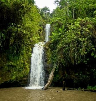 Kimakia Falls（Aberdare 森林 / 徒步）-非行家旅行-Africa Wild Wander