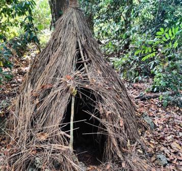 Kaya Kinondo Sacred Forest（卡亚基农多圣林）-非行家旅行-Africa Wild Wander