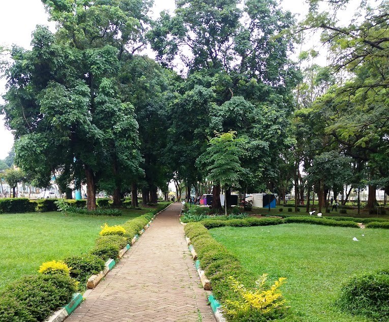Muliro Garden（穆利罗花园）-非行家旅行-Africa Wild Wander