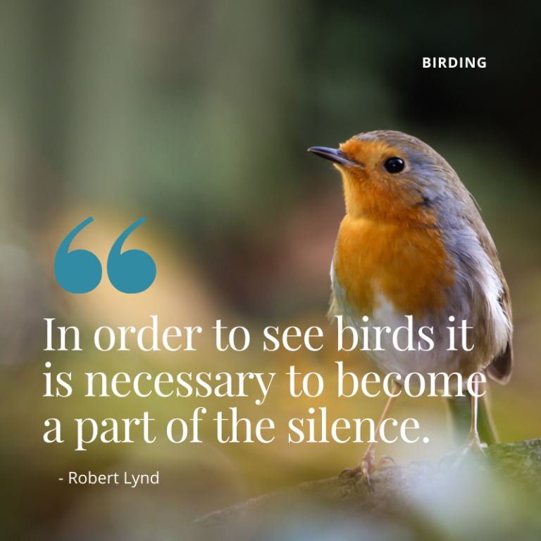 Birding in Kenya（国家公园 / 保护区 / Safari）-非行家旅行-Africa Wild Wander