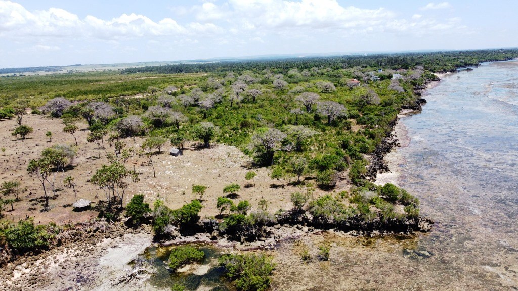 Munje Ruins（海滩 / 岛屿）-非行家旅行-Africa Wild Wander
