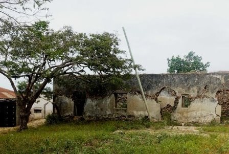 Shimoni Ruins（希莫尼遗址）-非行家旅行-Africa Wild Wander